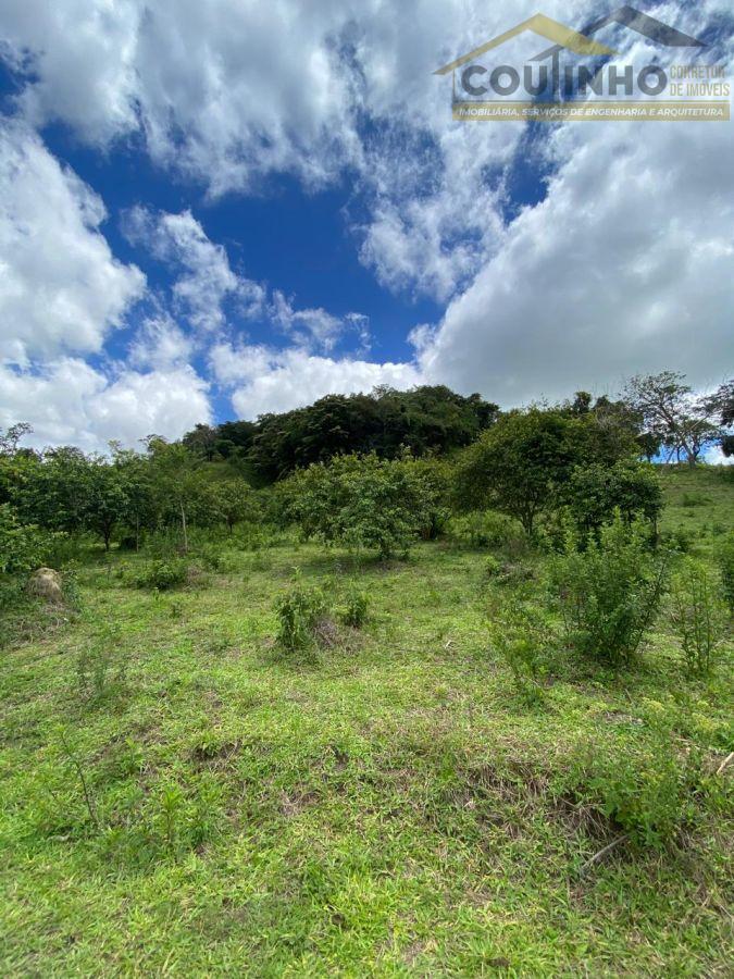 WhatsApp Image 2026-01-15 at 13.59.54 (4).jpeg